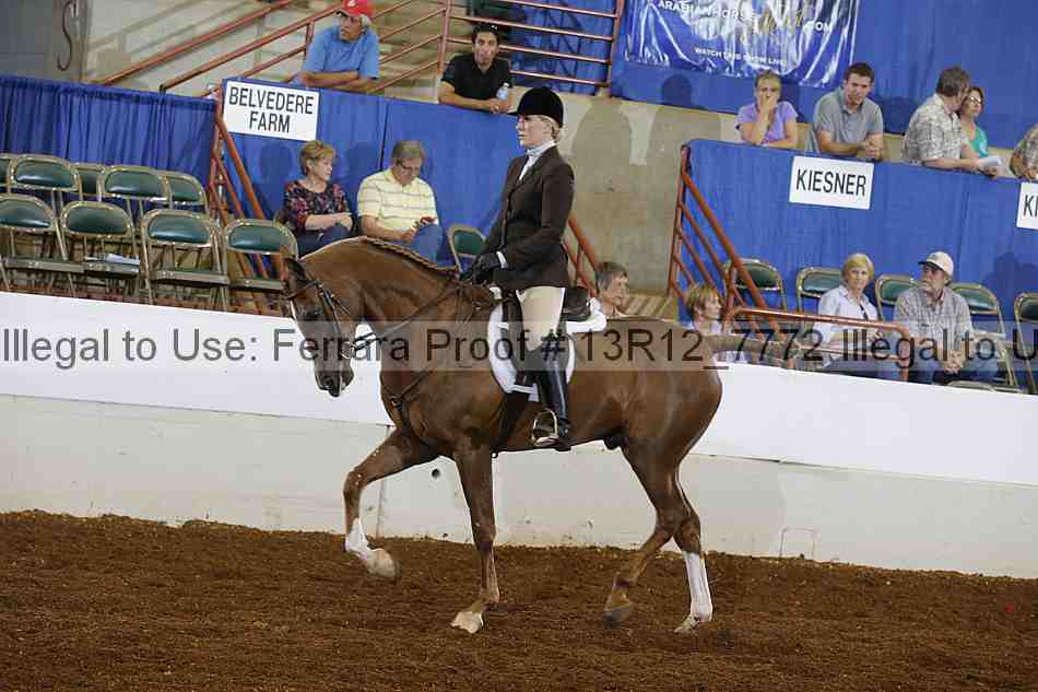 Proof 13r12_7772