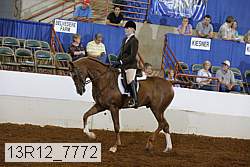 13r12_7772 proof