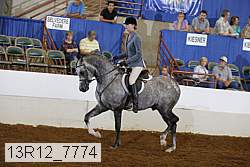 13r12_7774 proof