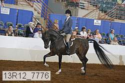 13r12_7776 proof