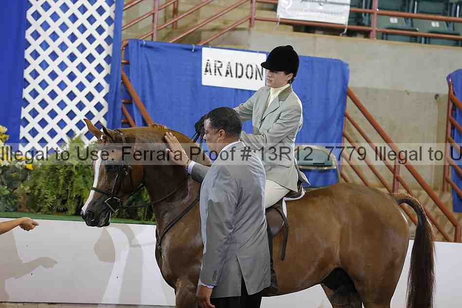 Proof 13r12_7779