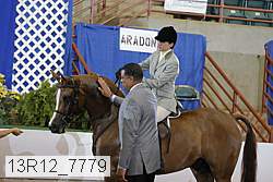 13r12_7779 proof