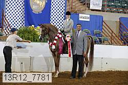 13r12_7781 proof