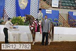 13r12_7782 proof