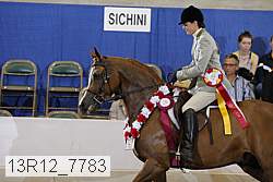 13r12_7783 proof