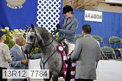 13r12_7784 proof