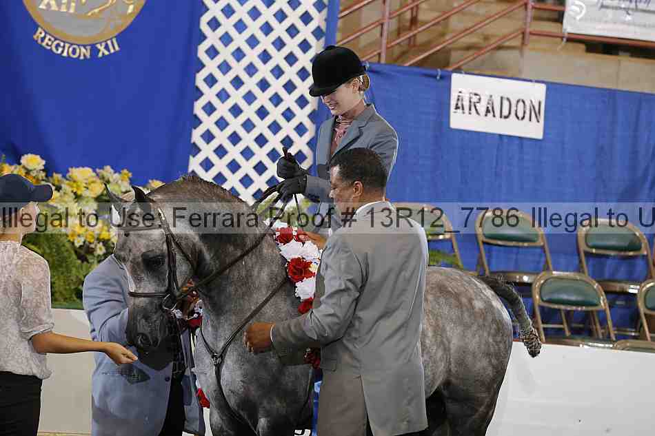Proof 13r12_7786
