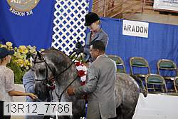 13r12_7786 proof