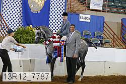 13r12_7787 proof