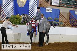 13r12_7788 proof
