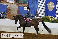 13r12_7793 proof
