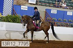 13r12_7795 proof