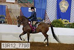 13r12_7796 proof
