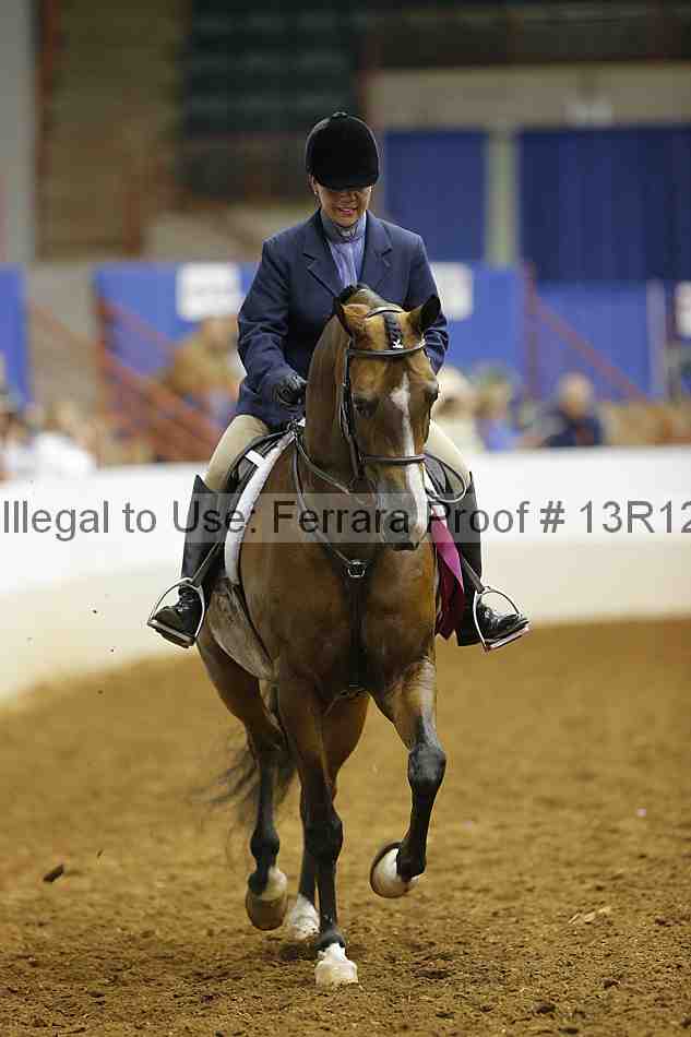 Proof 13r12_7798
