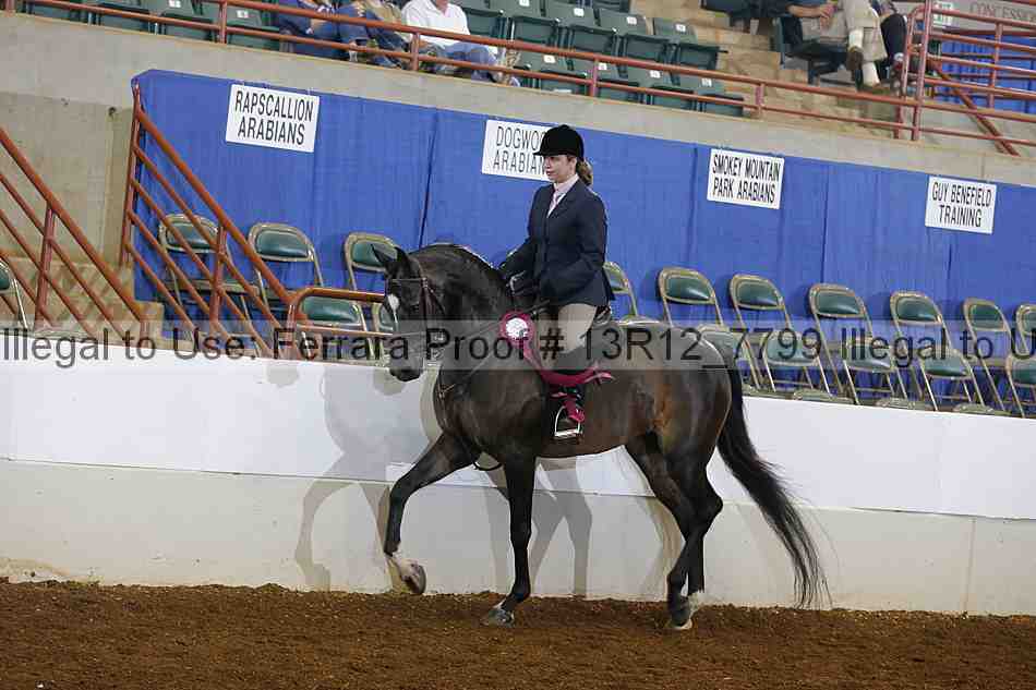 Proof 13r12_7799