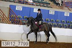 13r12_7799 proof