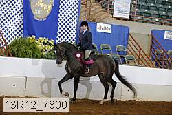 13r12_7800 proof