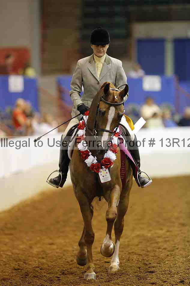Proof 13r12_7806