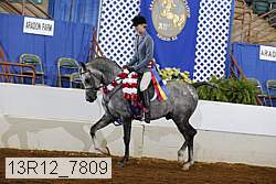 13r12_7809 proof