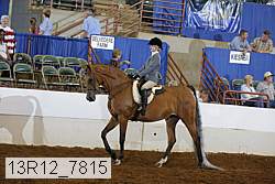 13r12_7815 proof