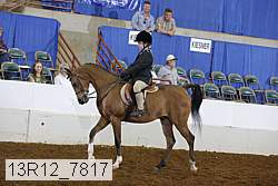 13r12_7817 proof