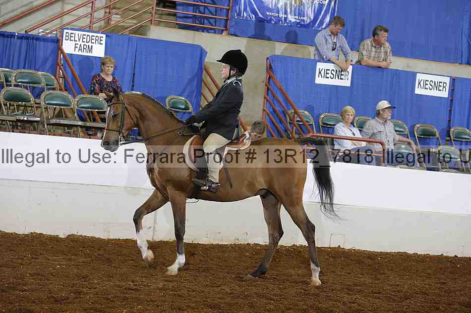 Proof 13r12_7818