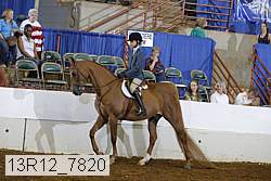 13r12_7820 proof