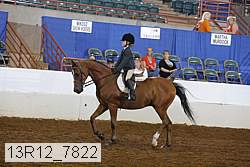 13r12_7822 proof
