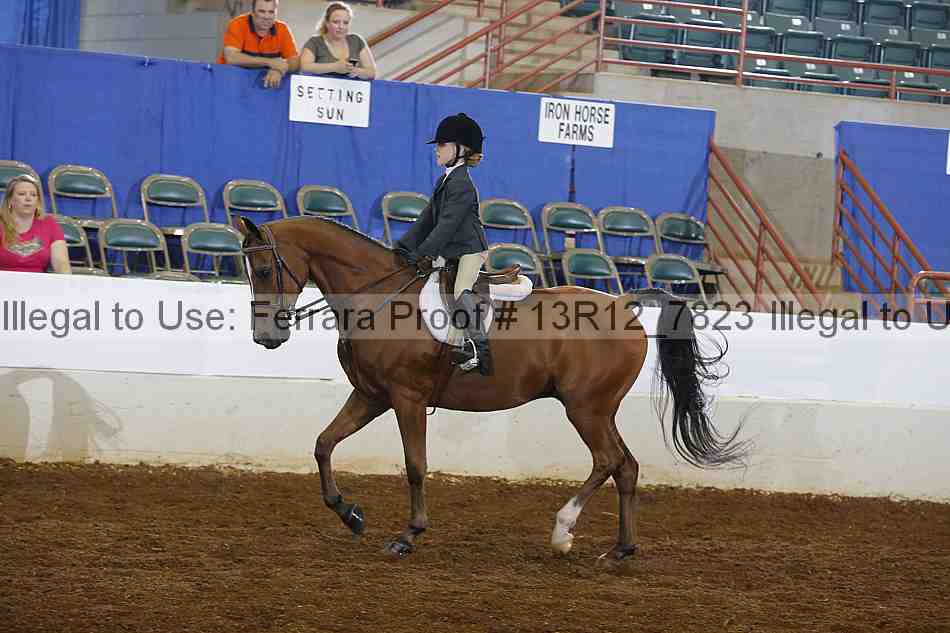 Proof 13r12_7823