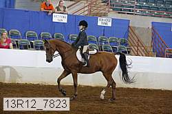 13r12_7823 proof