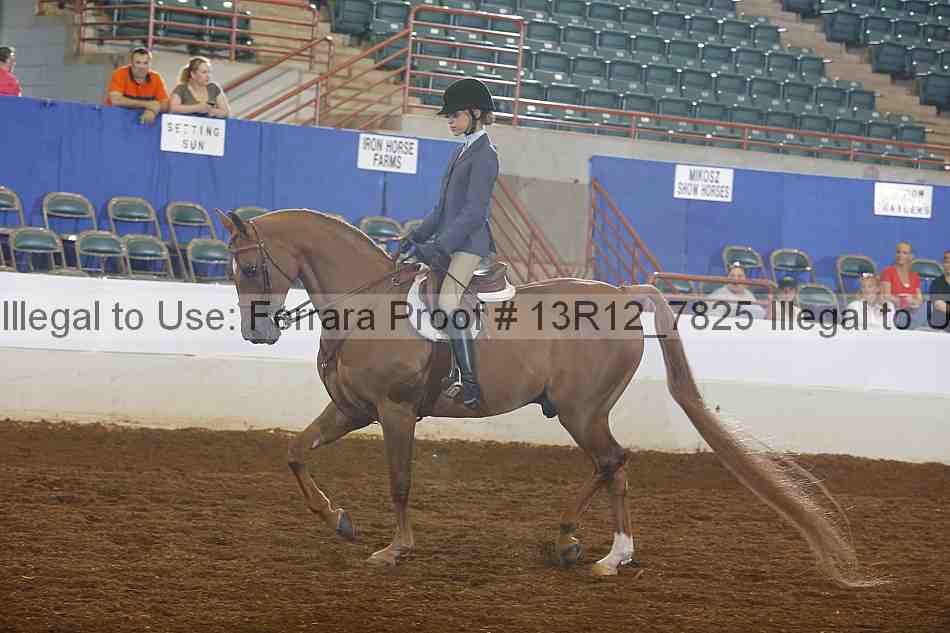 Proof 13r12_7825