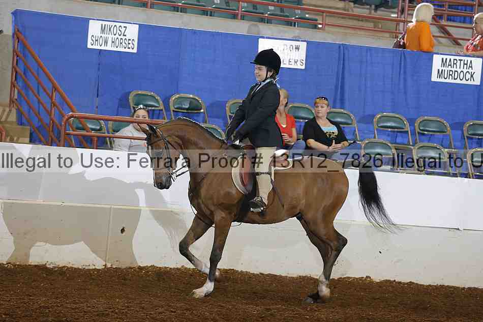 Proof 13r12_7826