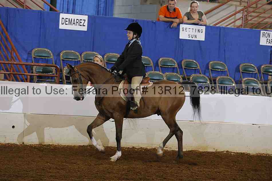 Proof 13r12_7828