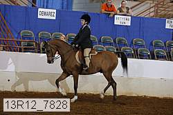 13r12_7828 proof