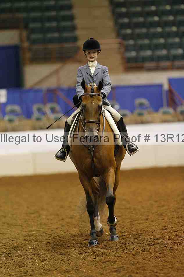 Proof 13r12_7829