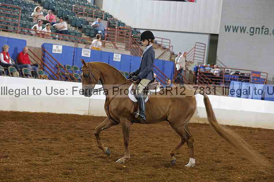 Proof 13r12_7831
