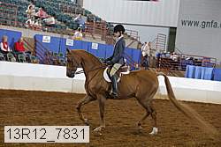 13r12_7831 proof