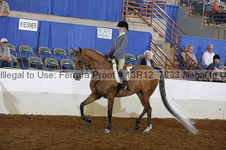 Proof 13r12_7833