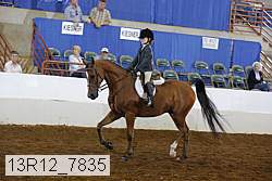 13r12_7835 proof