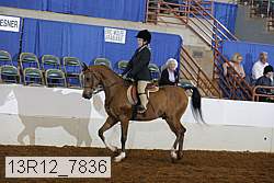 13r12_7836 proof