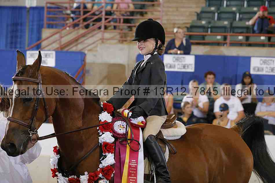Proof 13r12_7845