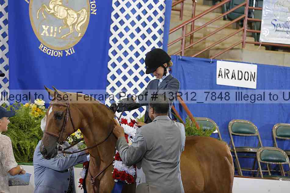 Proof 13r12_7848