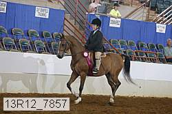 13r12_7857 proof