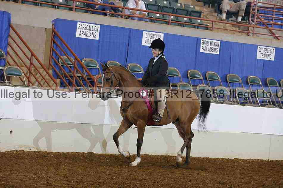 Proof 13r12_7858