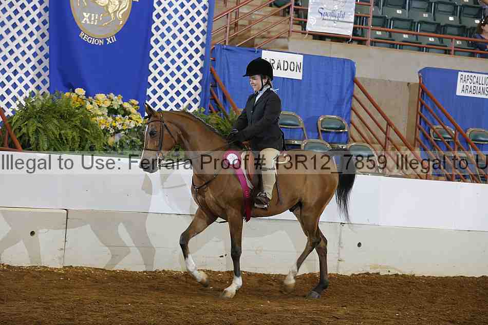 Proof 13r12_7859