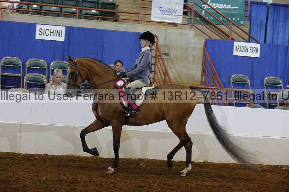 Proof 13r12_7861
