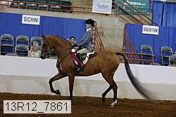 13r12_7861 proof