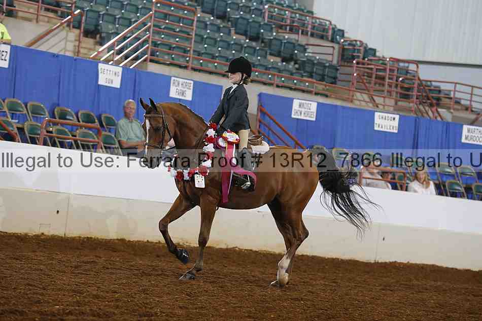 Proof 13r12_7866