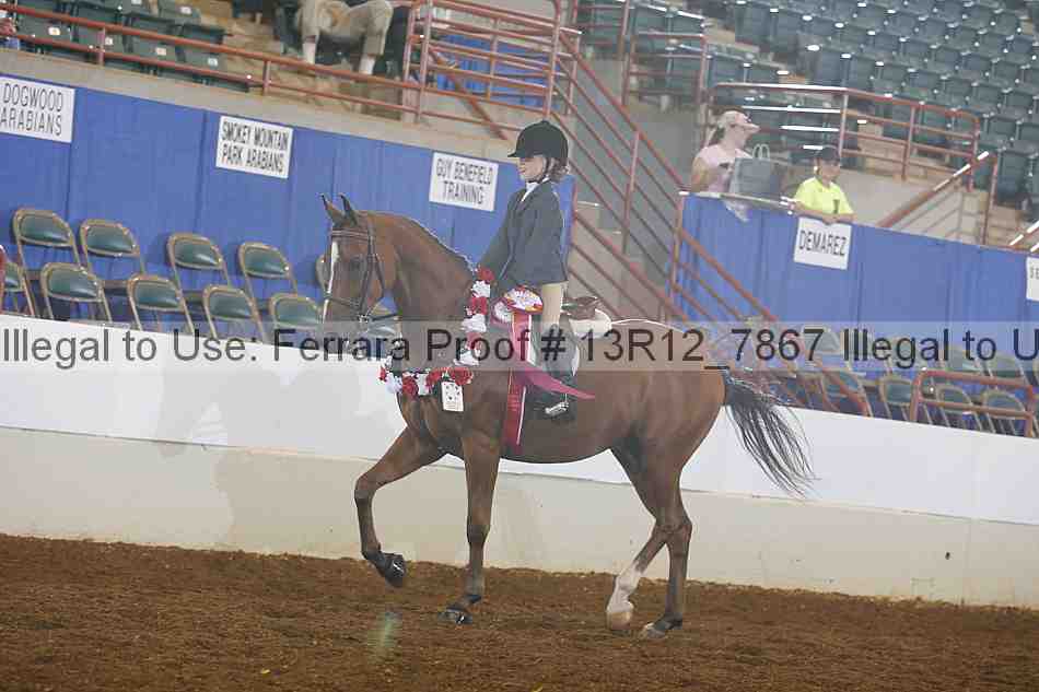 Proof 13r12_7867