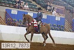 13r12_7873 proof